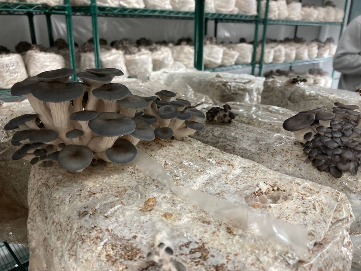 Photo Agence QMI, Geneviève Quessy