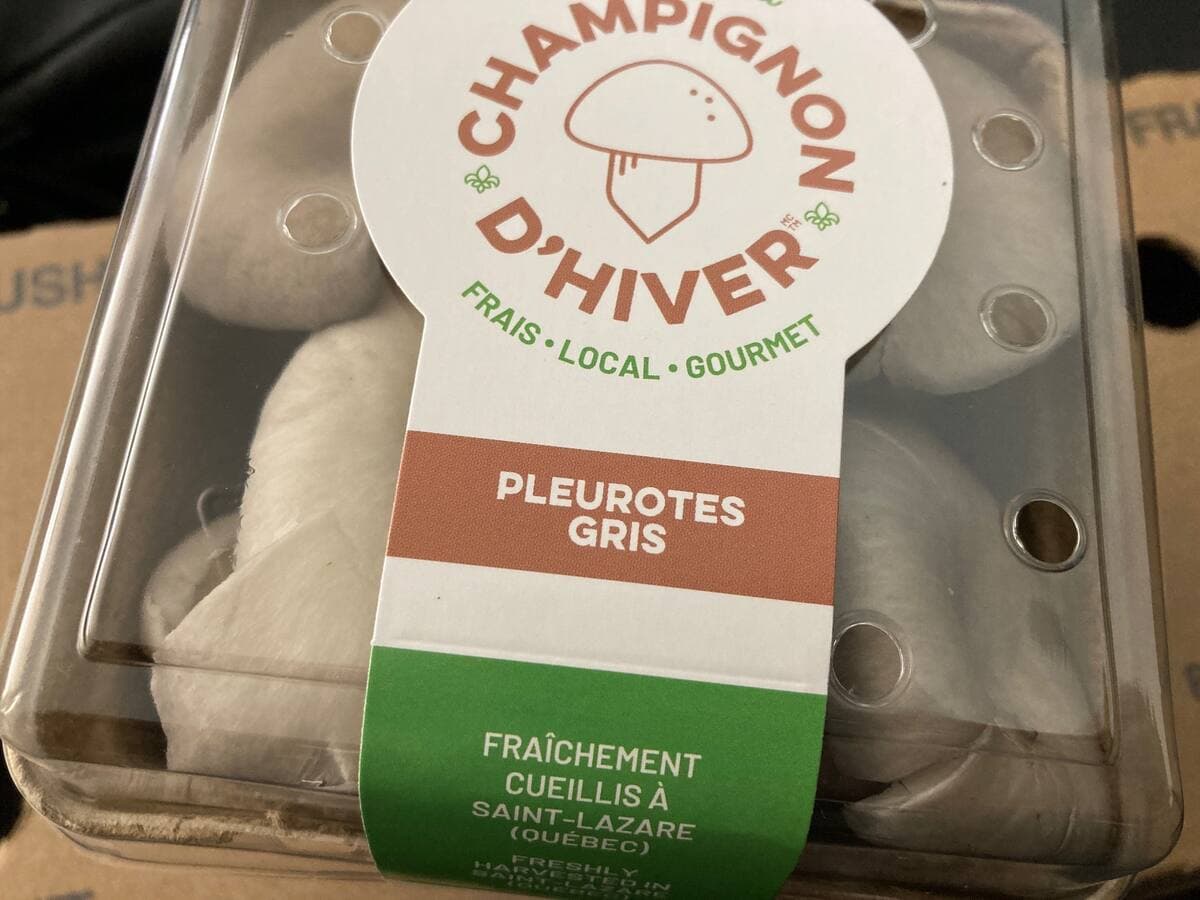 Photo Agence QMI, Geneviève Quessy