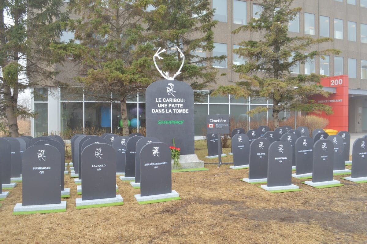 BORIS PROULX/AGENCE QMI