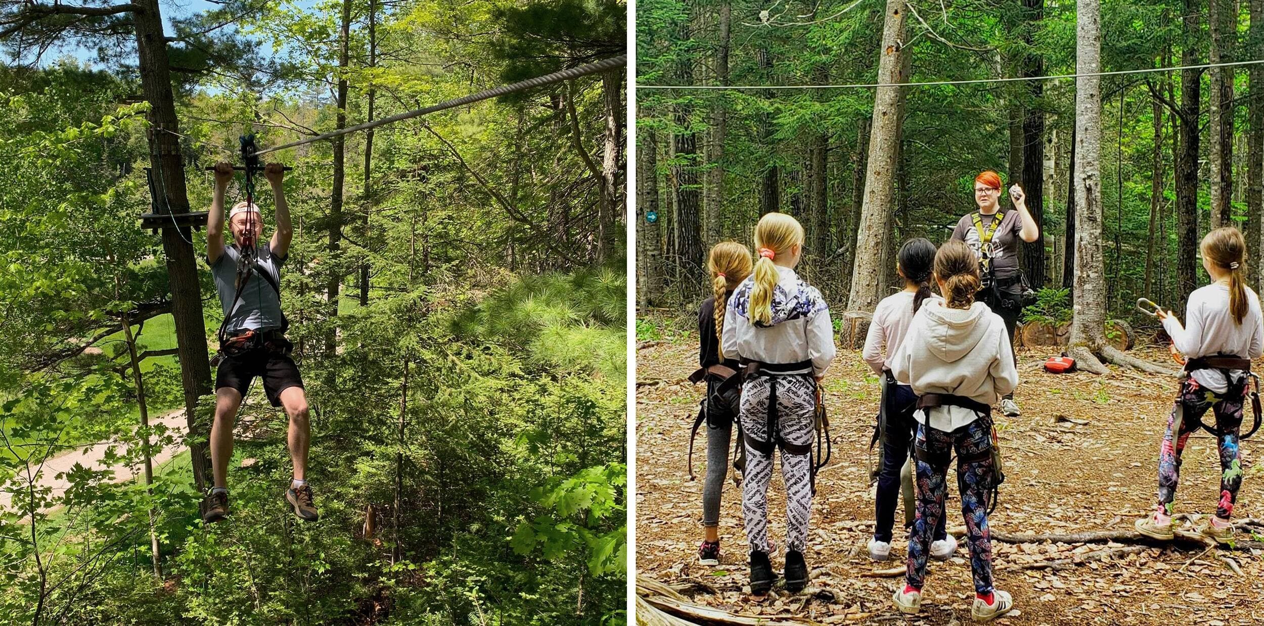 Crédit : TreeGO Mactaquac