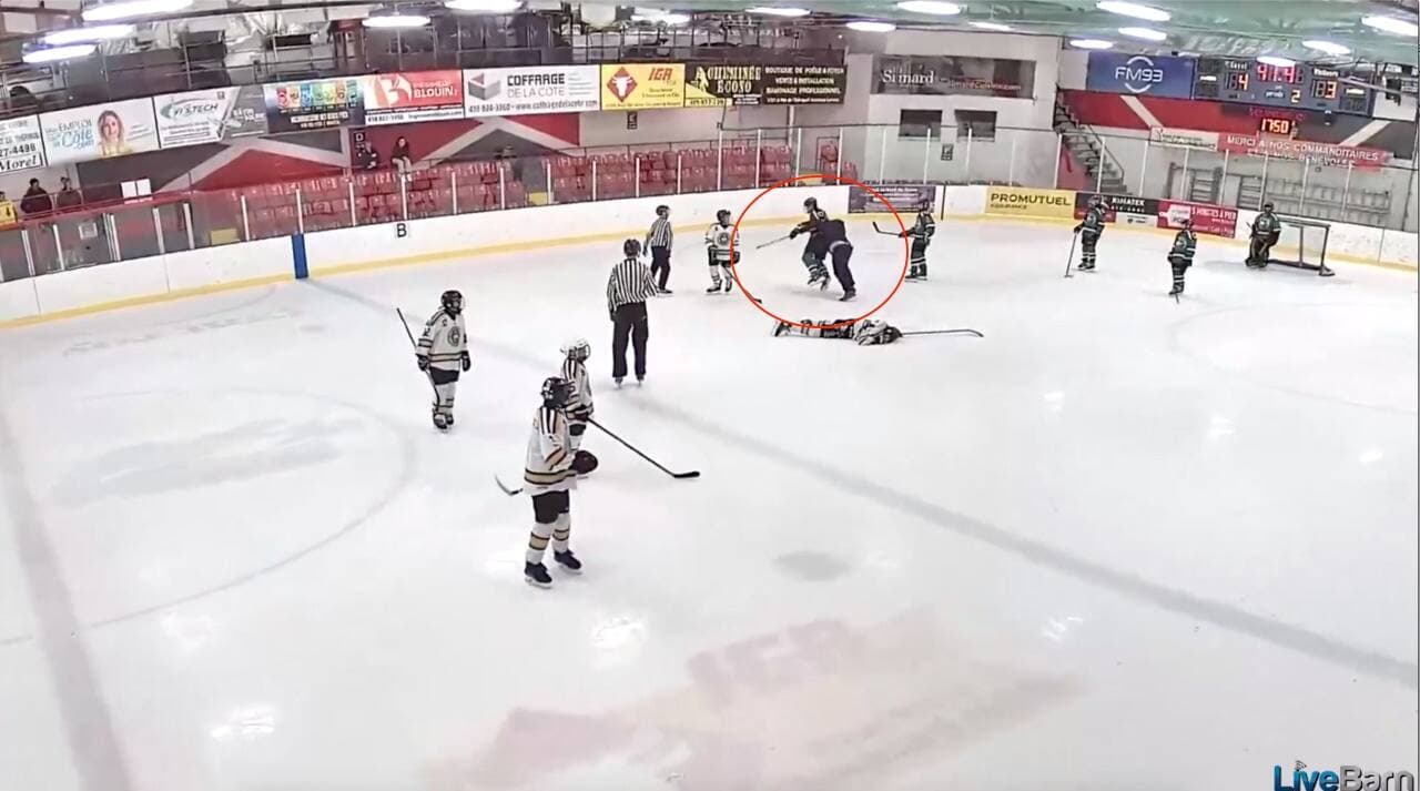 Capture d'écran tirée de la caméra du service Live Barn