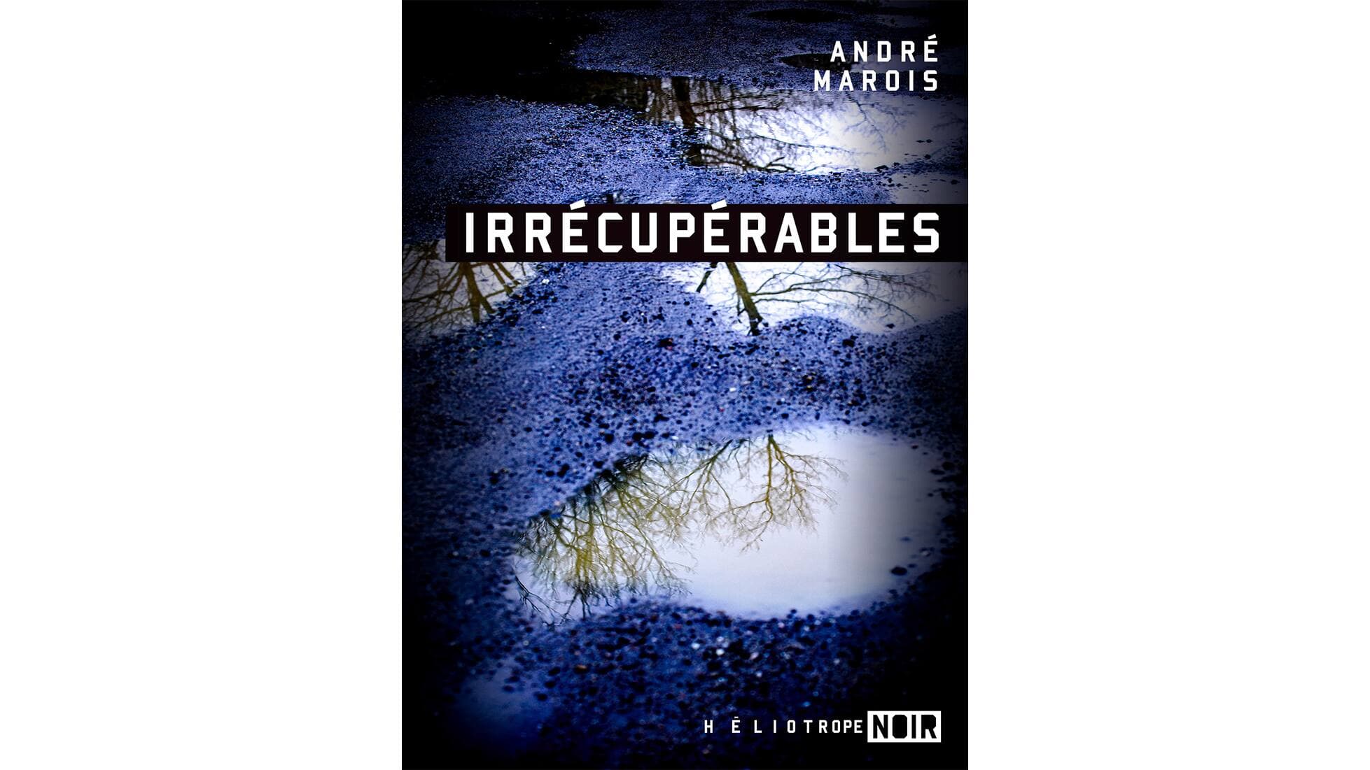 ,[object Object],
   ,[object Object],
   Éditions Héliotrope noir
   ,[object Object],
   246 pages