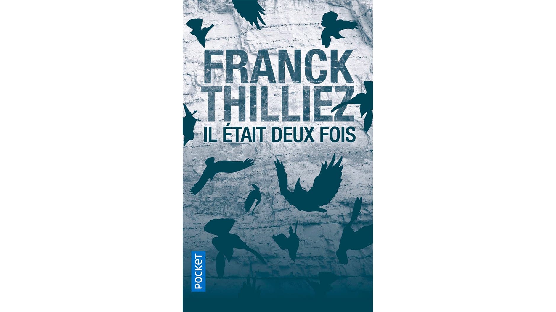 ,[object Object],
   ,[object Object],
   aux Éditions Pocket
   ,[object Object],
   624 pages