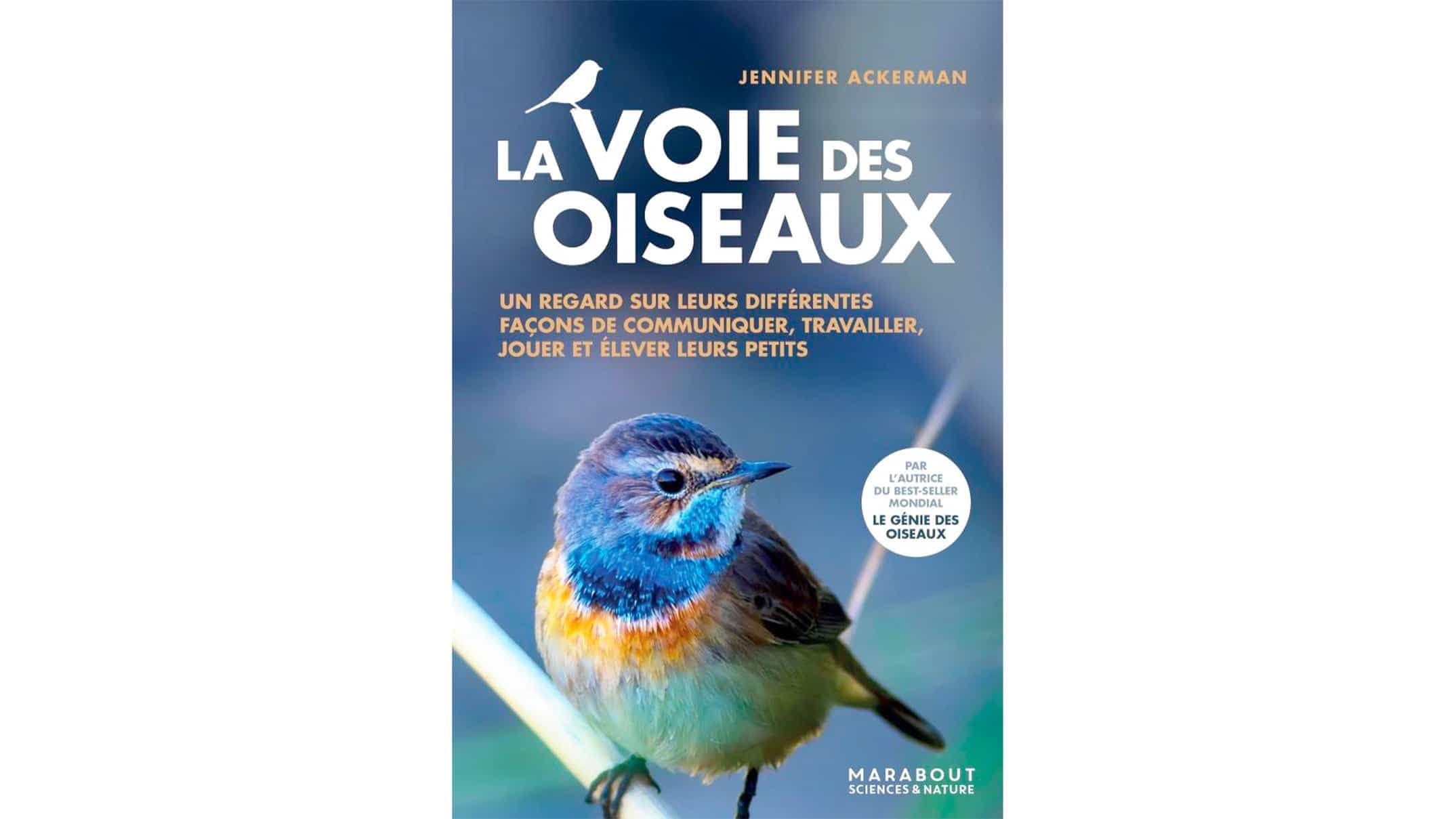 ,[object Object],
   ,[object Object],
   aux Éditions Marabout
   ,[object Object],
   64 pages