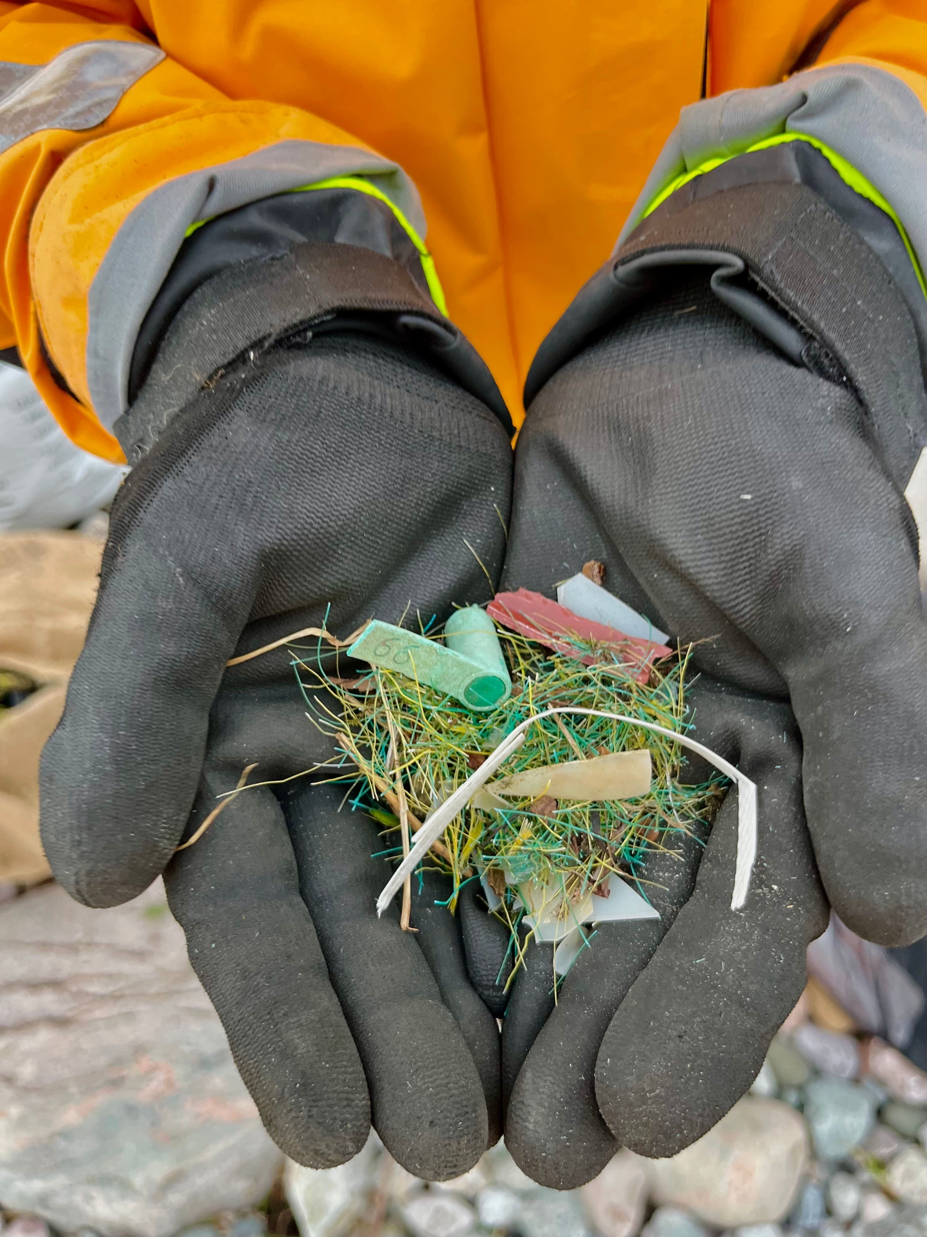 Photo courtoisie Organisation Bleue