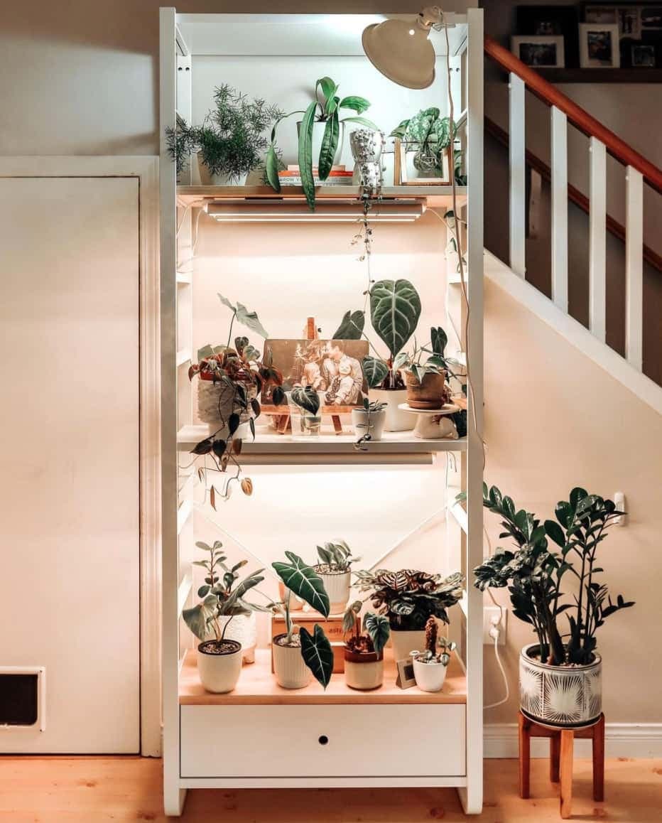 Instagram: @wildwoodlove