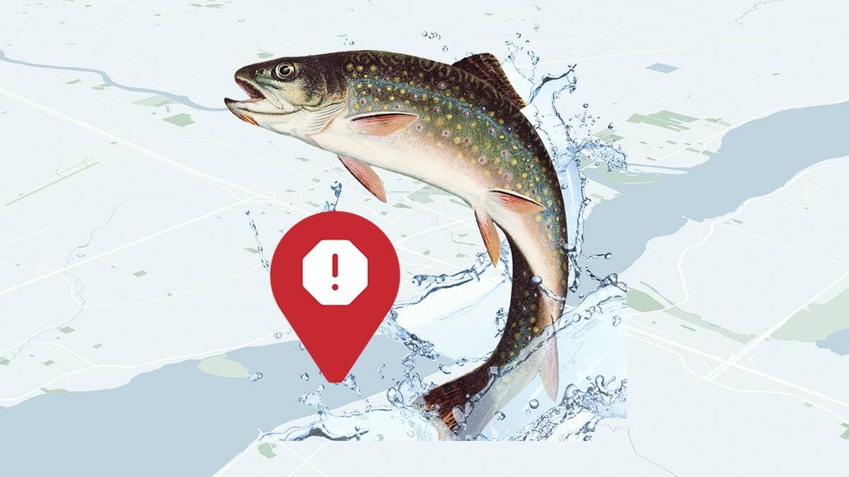 Votre poisson est-il contaminé au mercure?