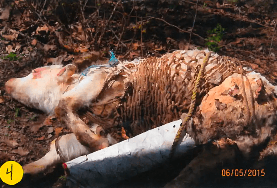 Photo fournie par le MAPAQ