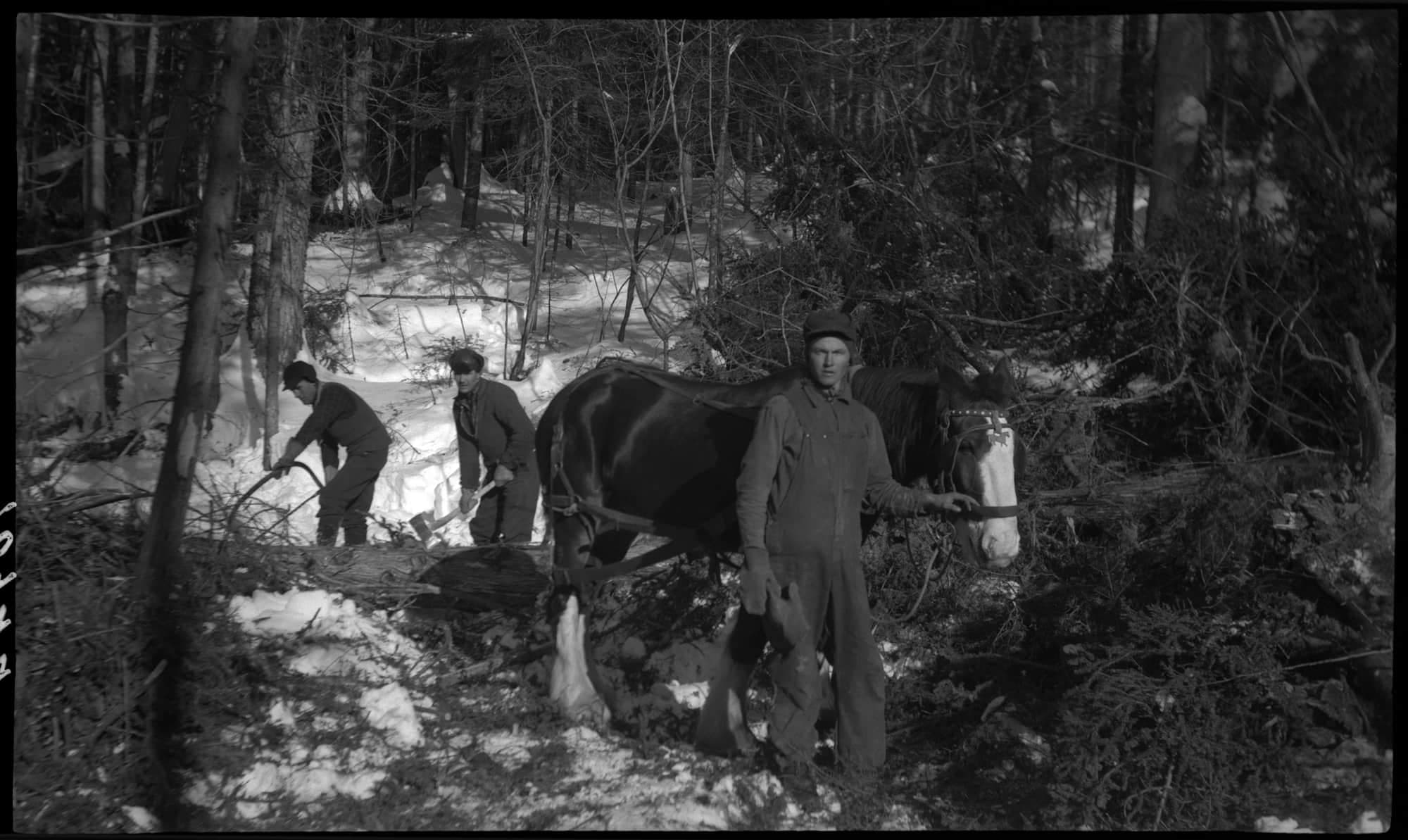 Coupe de bois en coopération à Sainte-Rose-du-Dégelis, 1942.