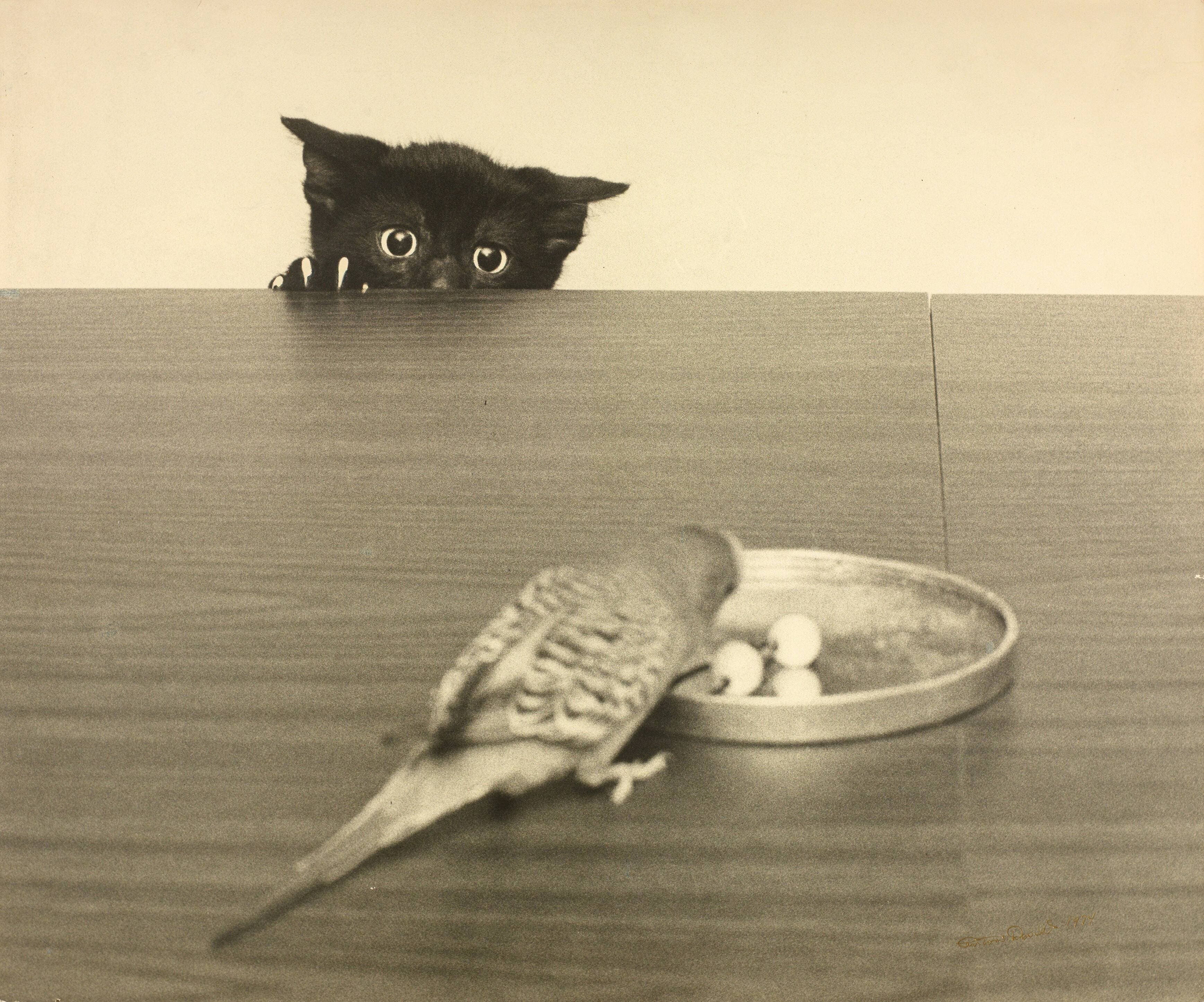 Humour, vers 1970. Archives nationales à Montréal.