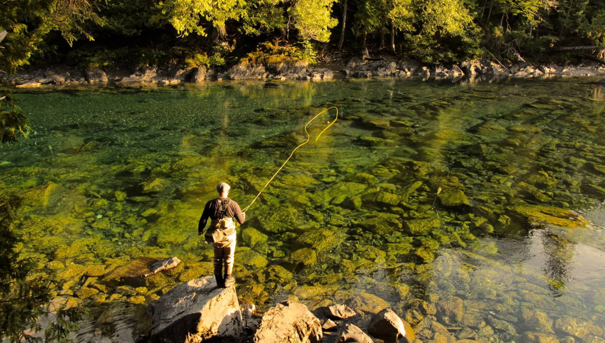 Facebook d'Alexis Pageau