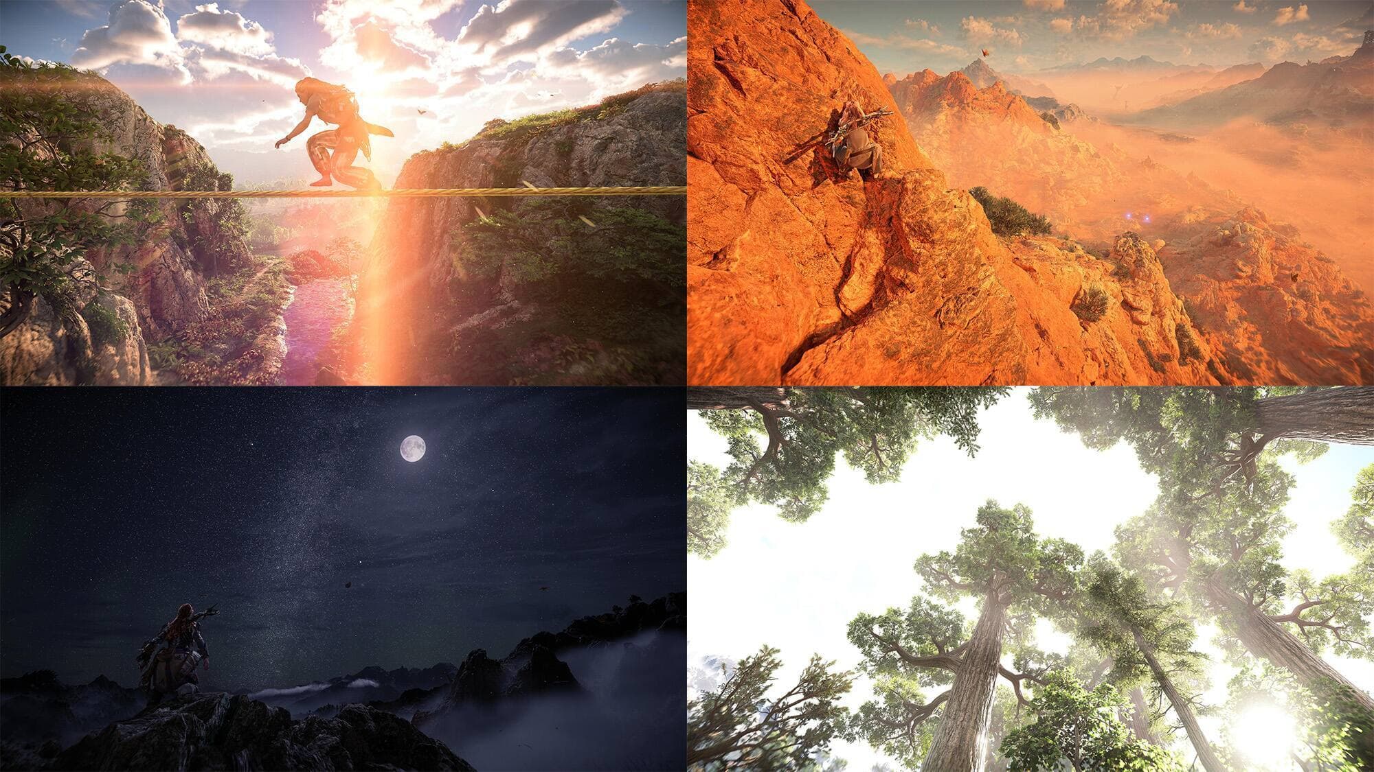 Captures d’écran Maxime Johnson / Guerilla Games