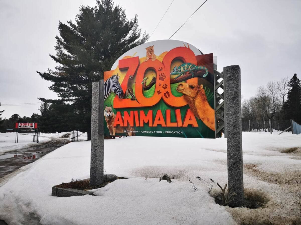 PHOTO COURTOISIE / Zoo Animalia