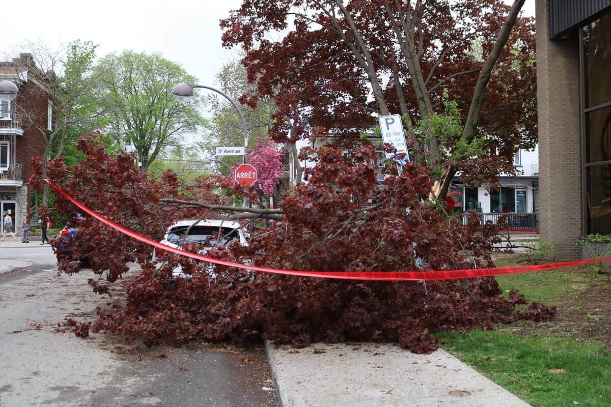 Photo Agence QMI, Marc Vallières