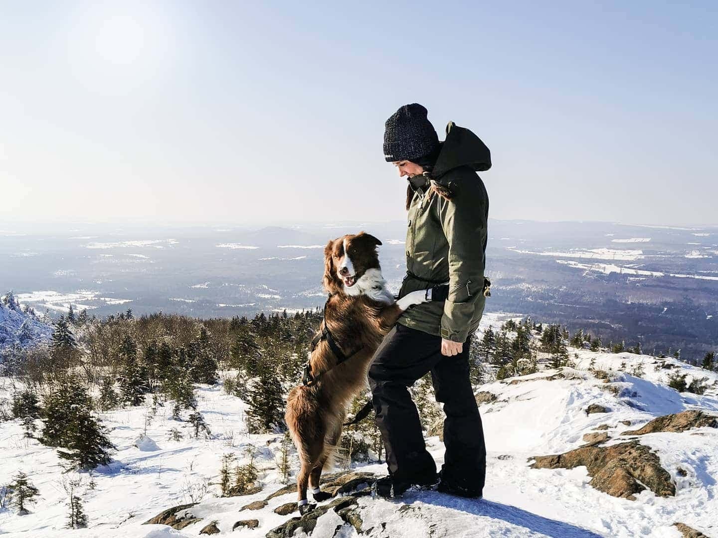 Craziestbordercollies | Parc régional du Mont-Ham | Tourisme des Sources