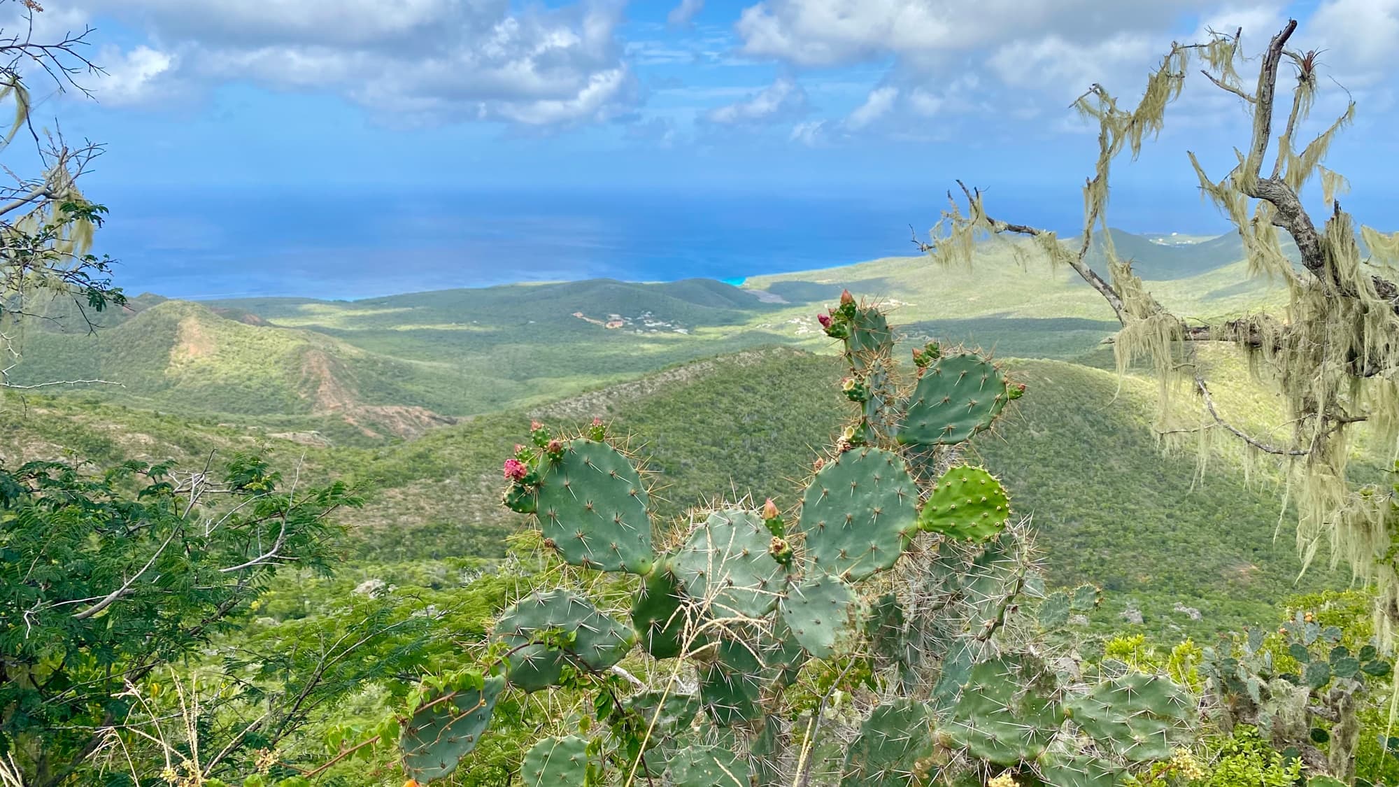 Photo collaboration spéciale, Bérengère Thériault