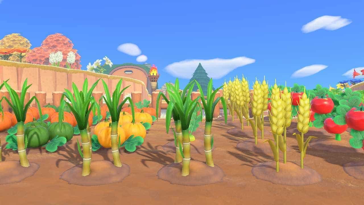 Capture d'écran Kazzie Charbonneau