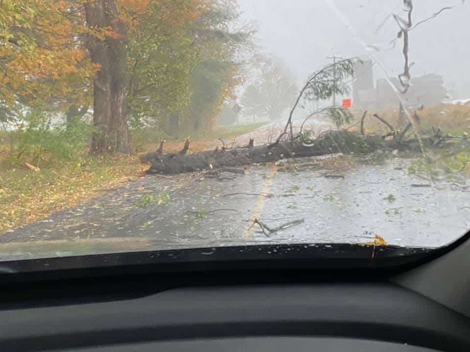 Photo courtoisie: Diane Lapointe