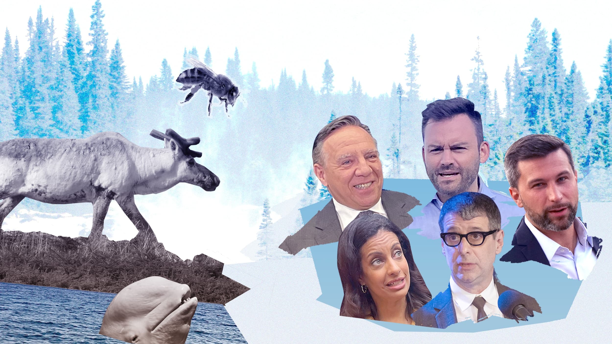 Photomontage Marilyne Houde