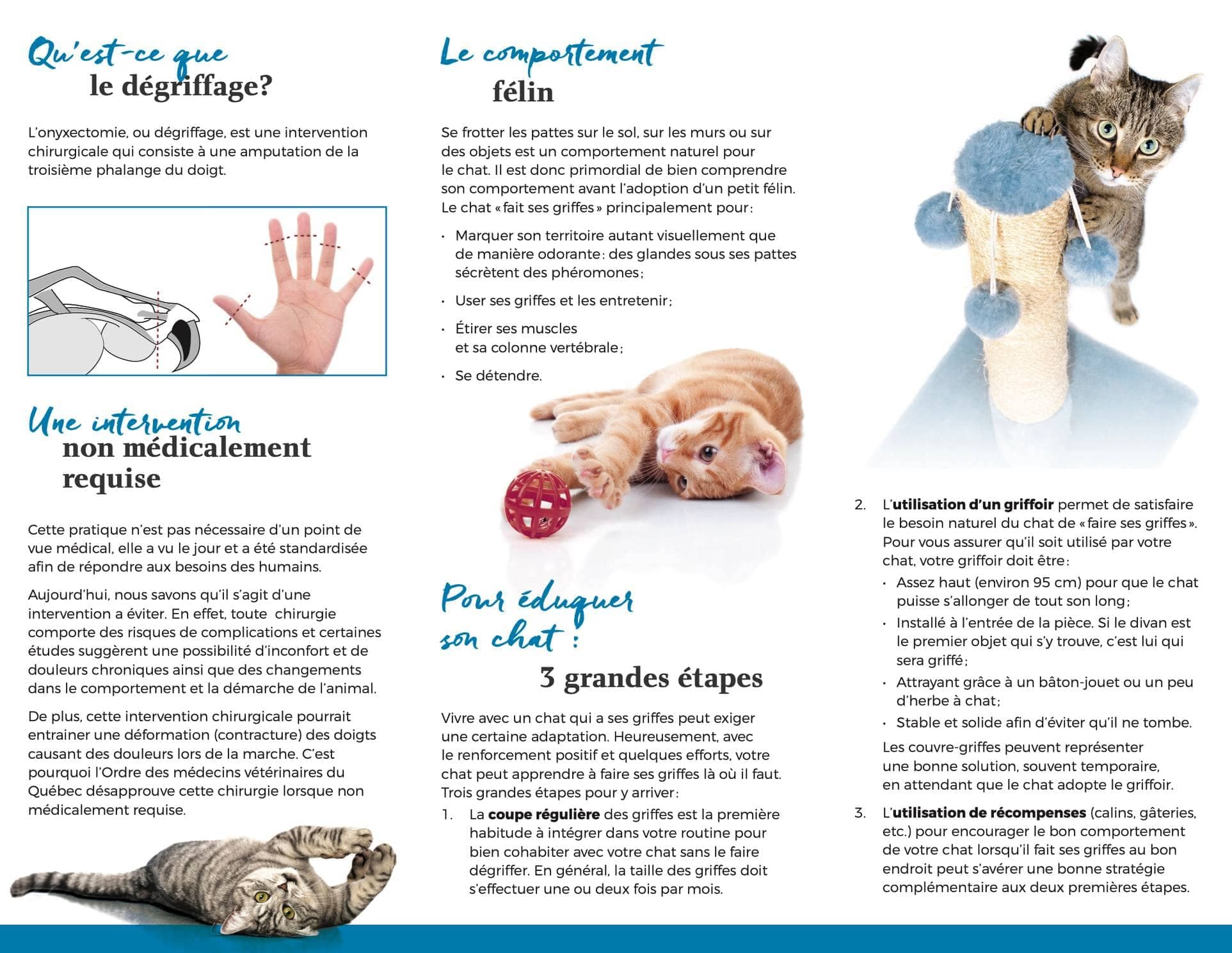 Facebook : l'Odre des médecins vétérinaires du Québec