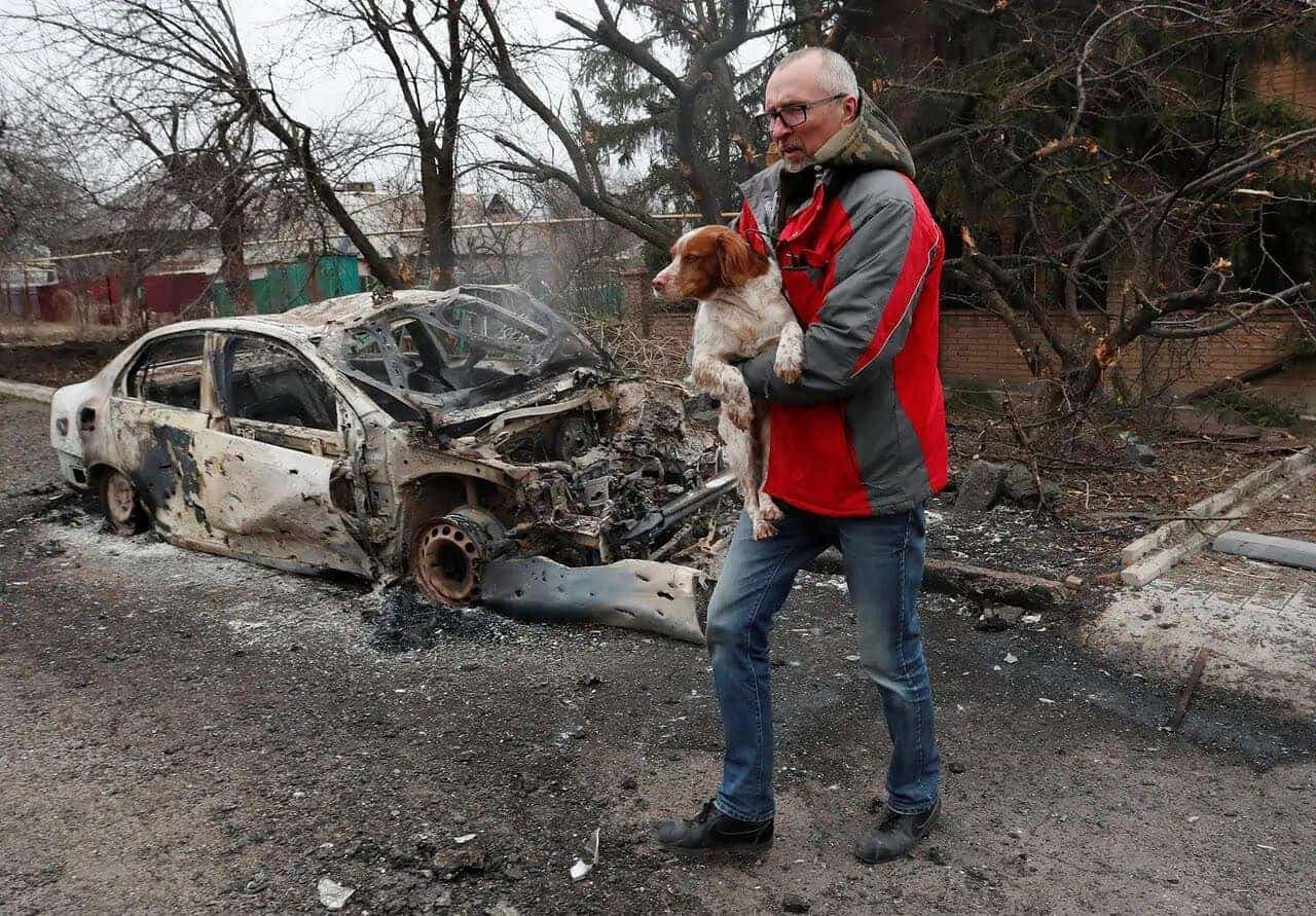 Facebook : Uanimals, organisme communautaire