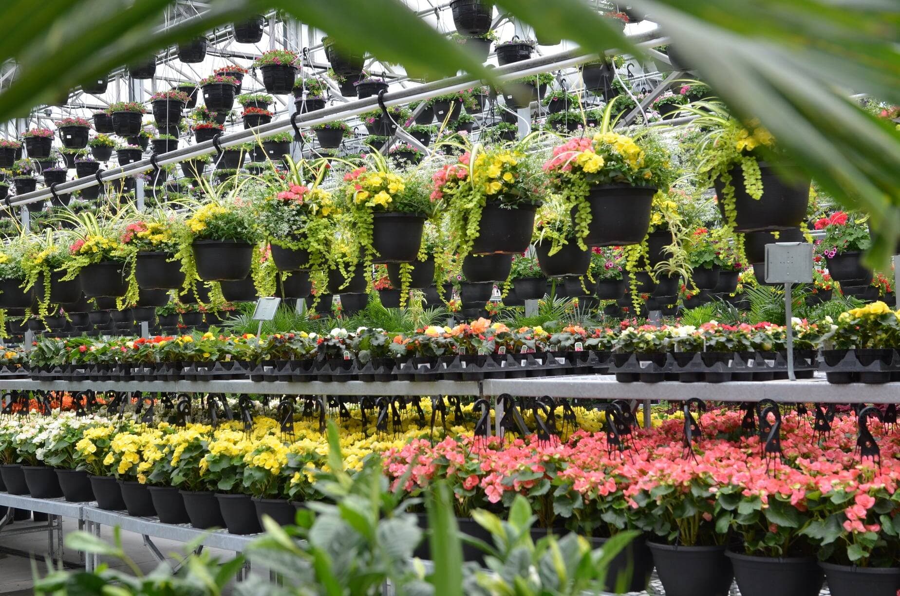 page facebook Archipel