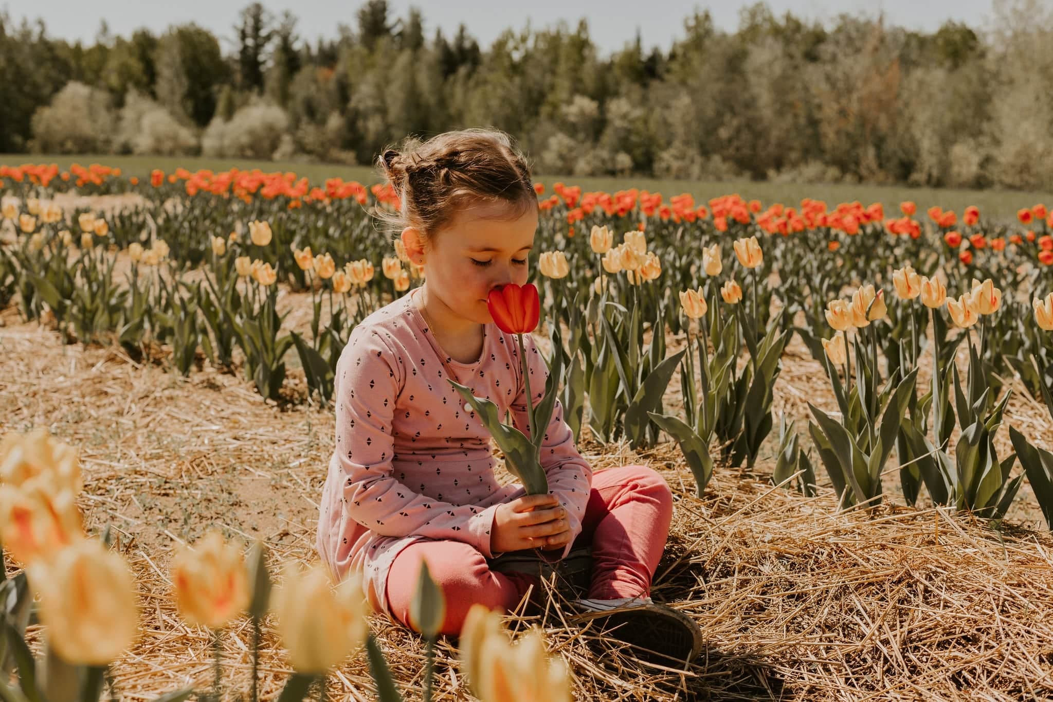 Facebook Ferme Ethier