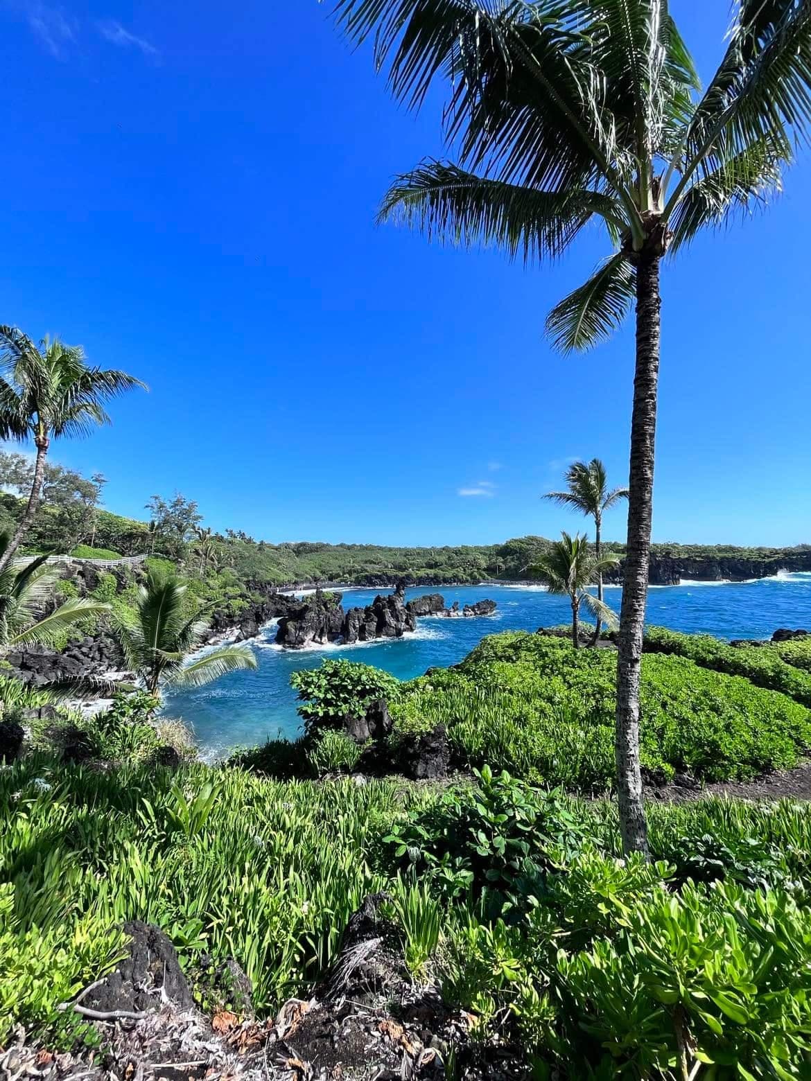 Courtoisie: Charles-Antoine Sinotte