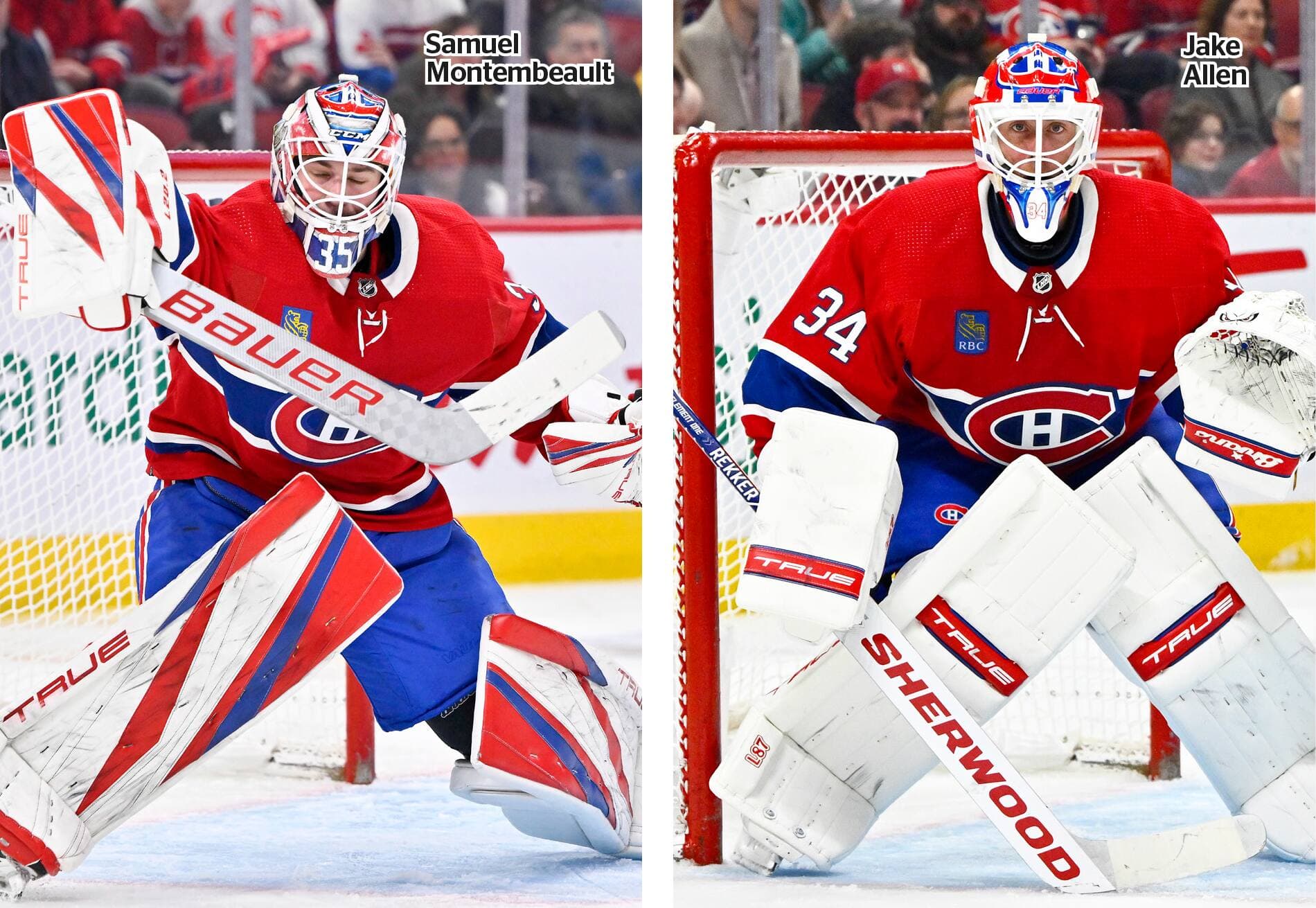 Photo d'archives, Martin Chevalier