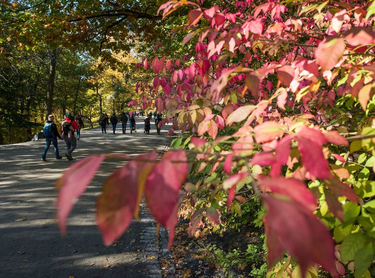 Joël Lemay / Agence QMI