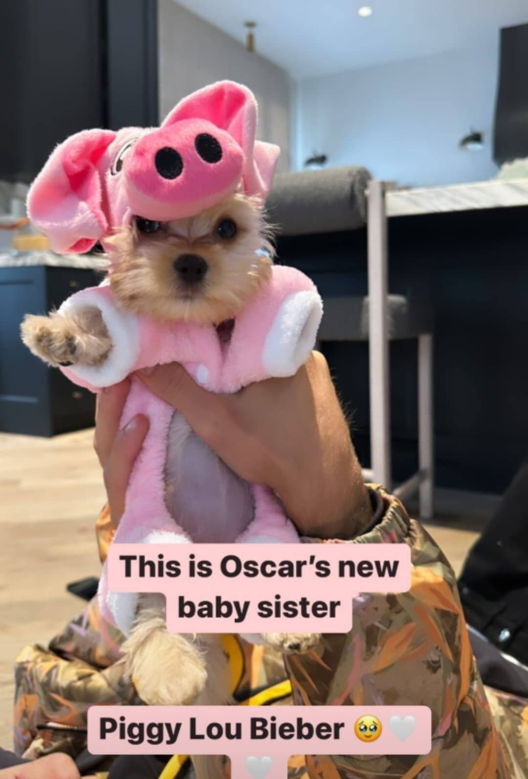 Instagram / Hailey Bieber