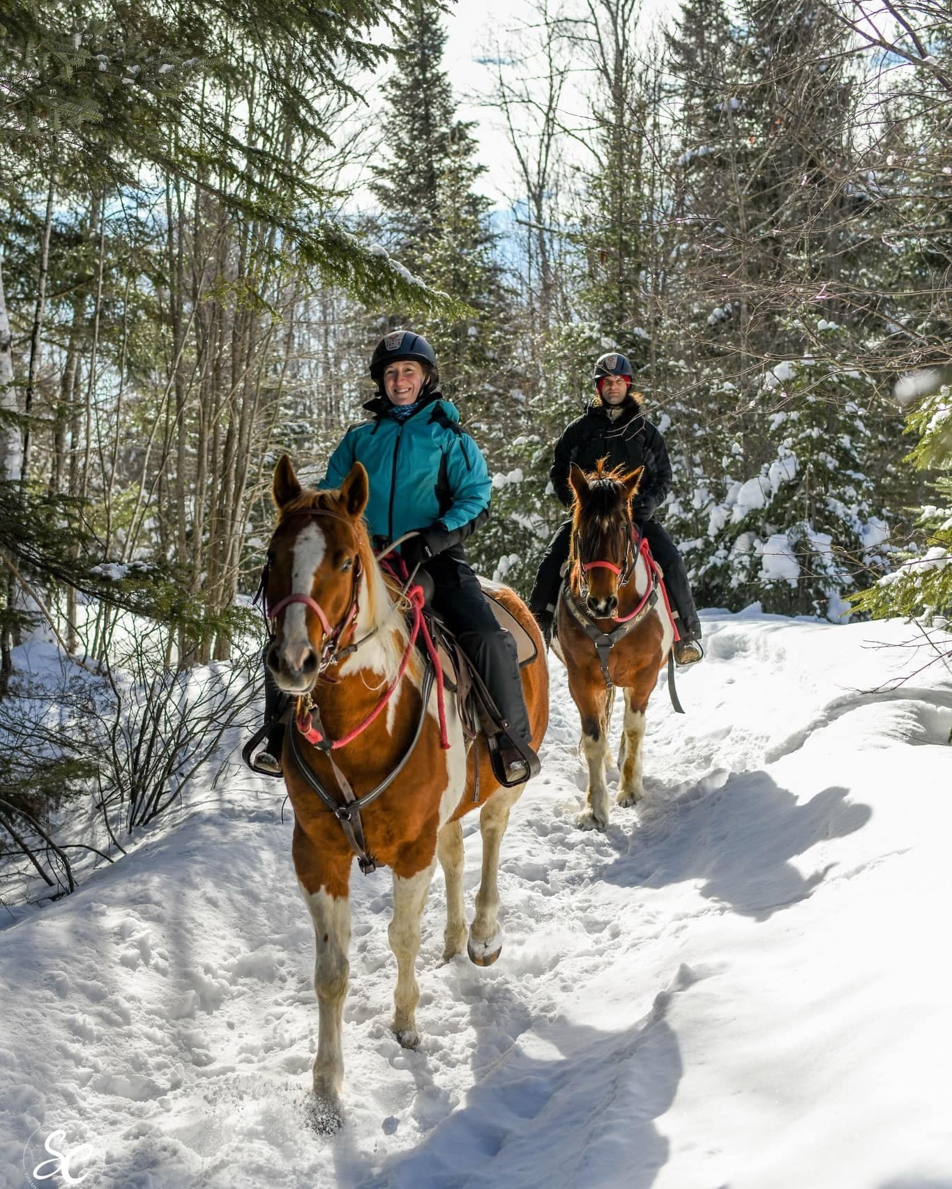 Facebook Chalets Villégiature et Pourvoirie Daaquam