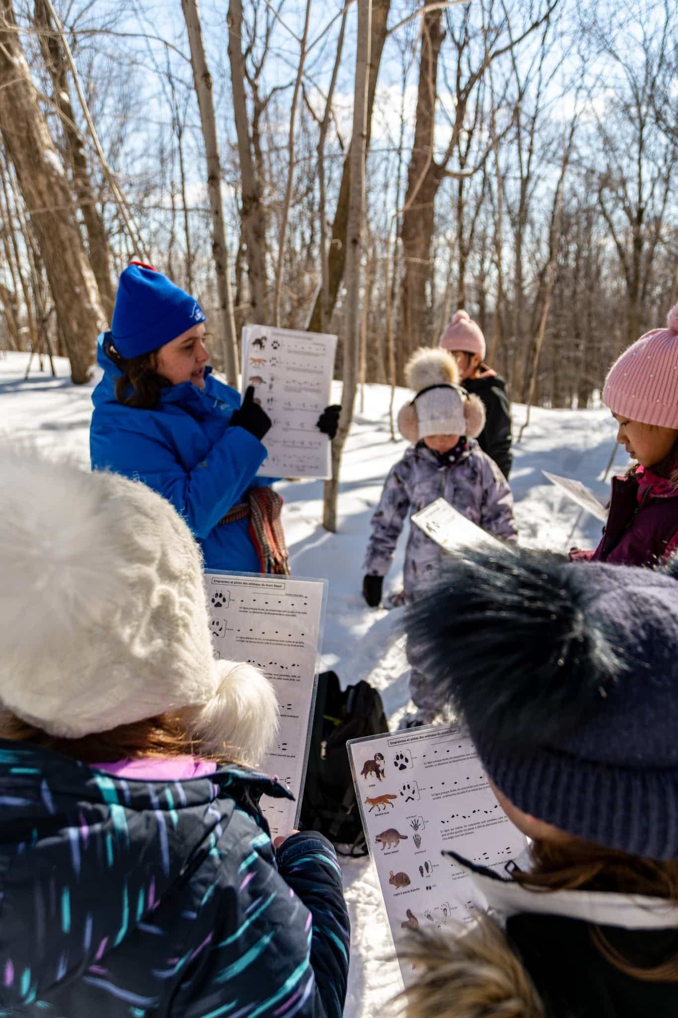 Facebook J'aime le mont Royal | Les amis de la montagne