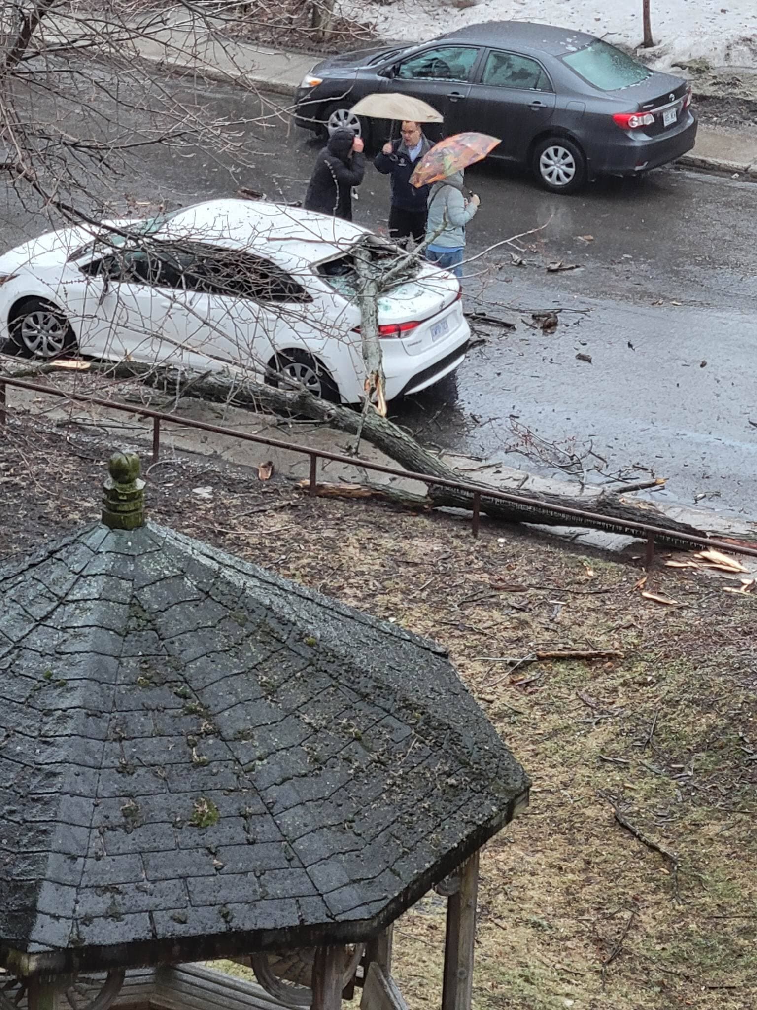 Notre-Dame-de-Grâce | photo: Pierre Bolduc via Facebook TVA Nouvelles