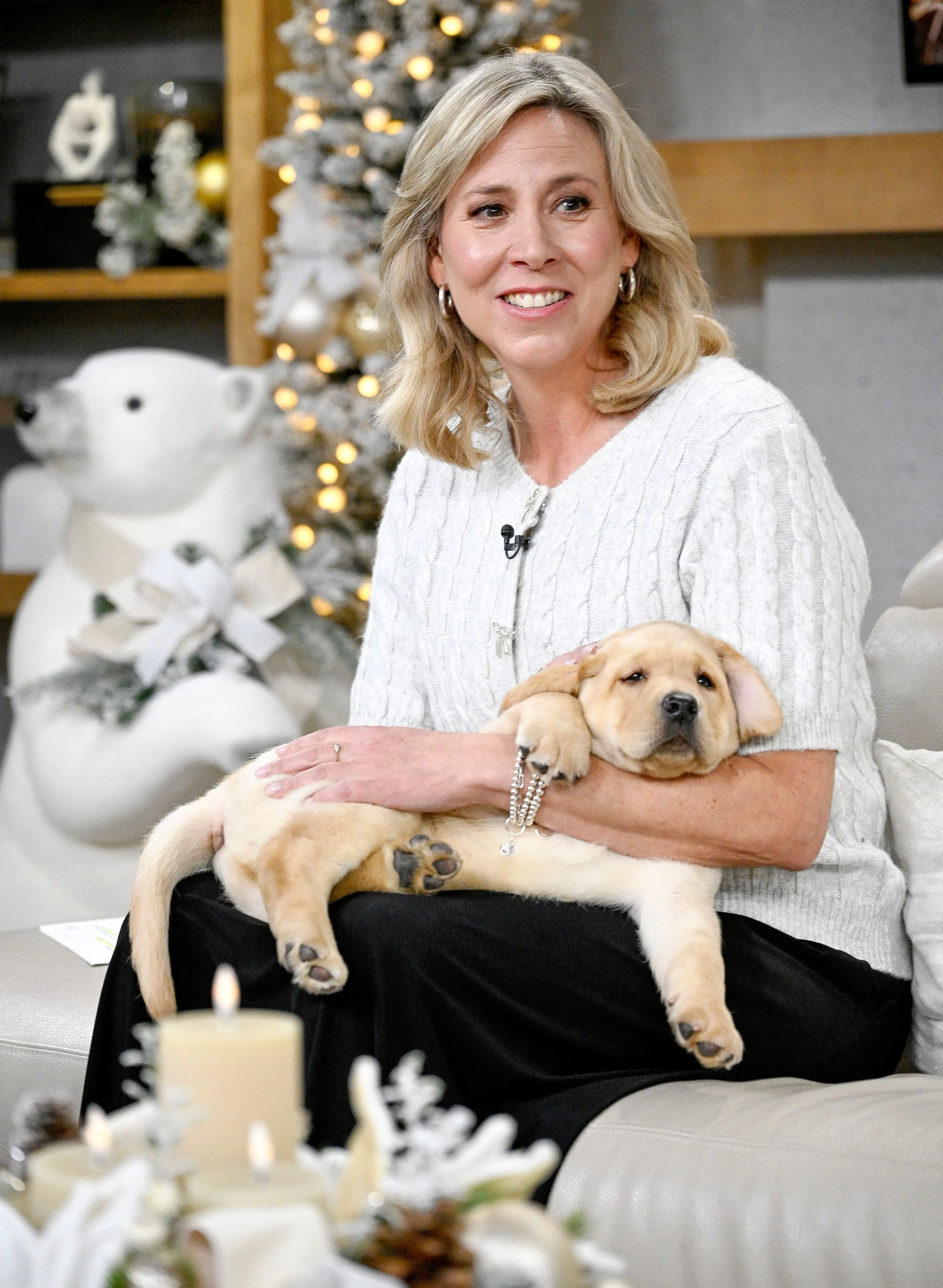 Malgré un cameraman grincheux, Ève-Marie Lortie a quand même trouvé la joie de Noël cette semaine sur le plateau de «Salut Bonjour». Ici, elle tient un chien Mira pendant son entrevue avec Nicolas St-Pierre, directeur général de la Fondation Mira.