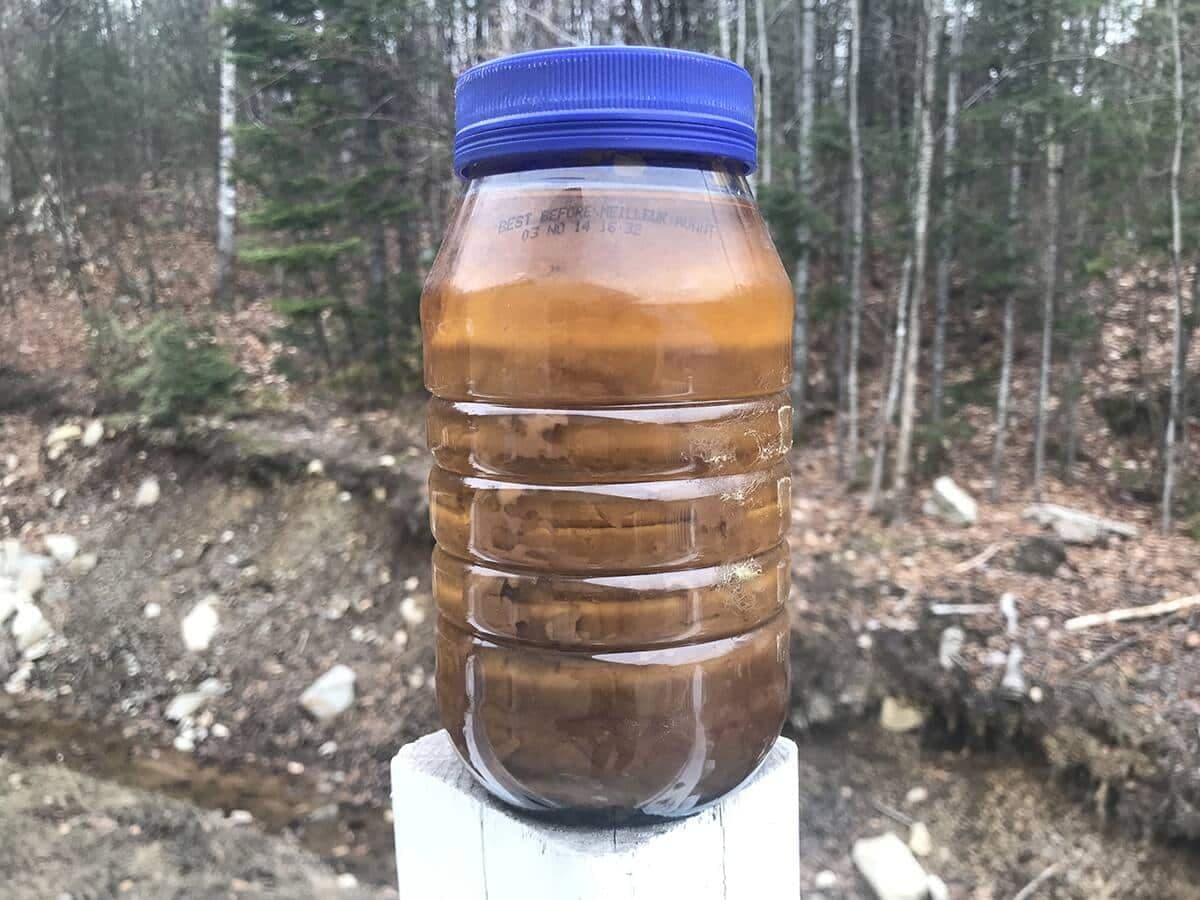 Photo Frédéric Guindon