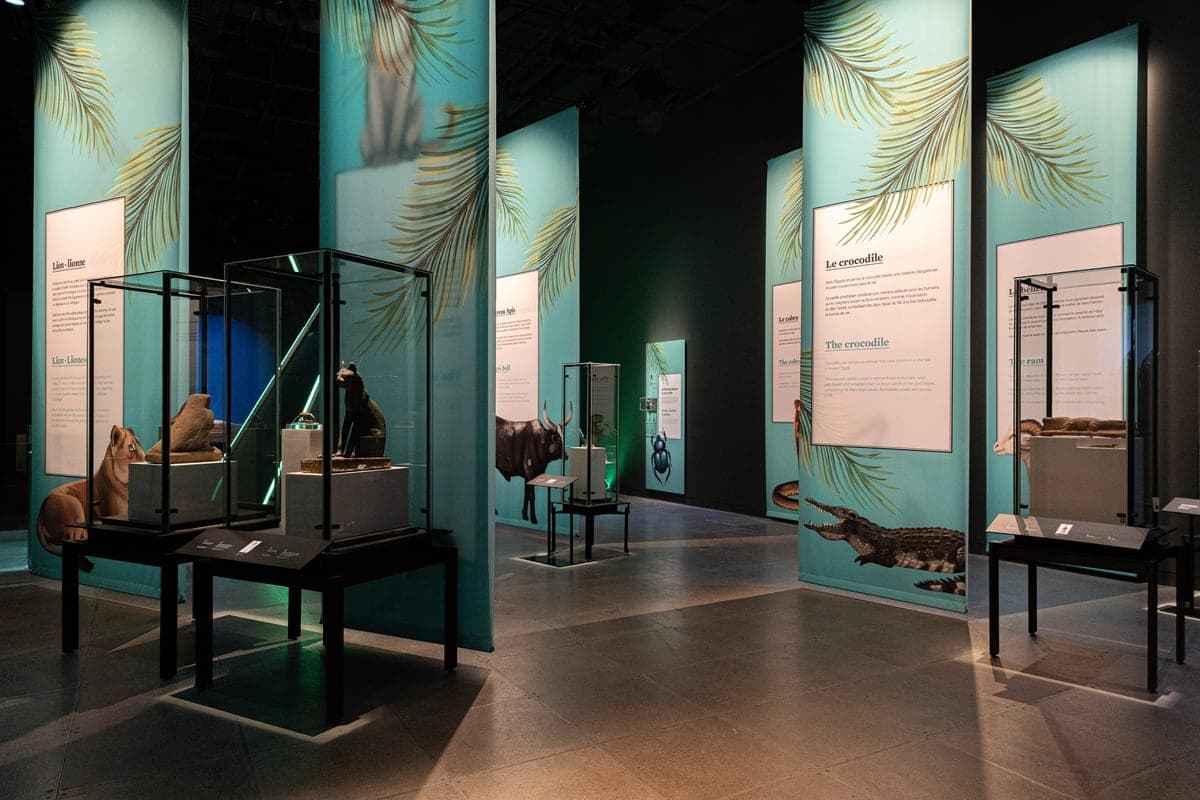 PHOTO COURTOISIE Caroline Thibault