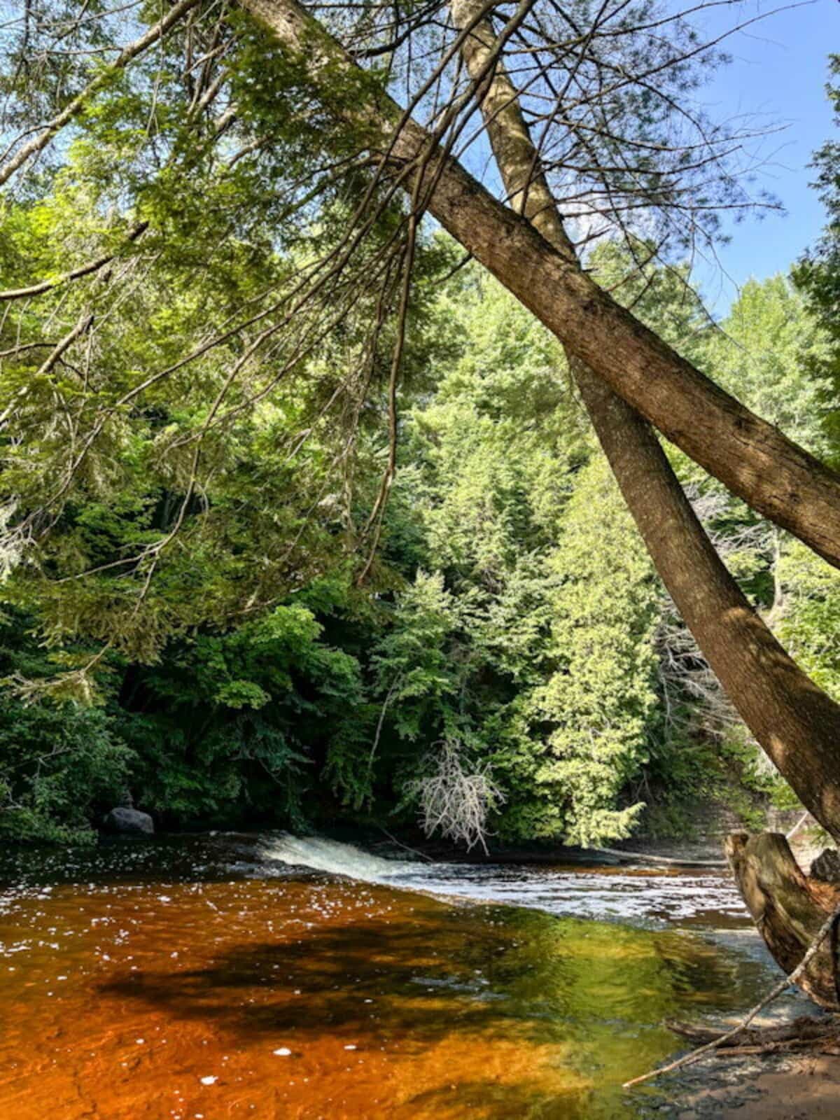 La chute à Thibodeau au Parc régional de la rivière Gentilly.