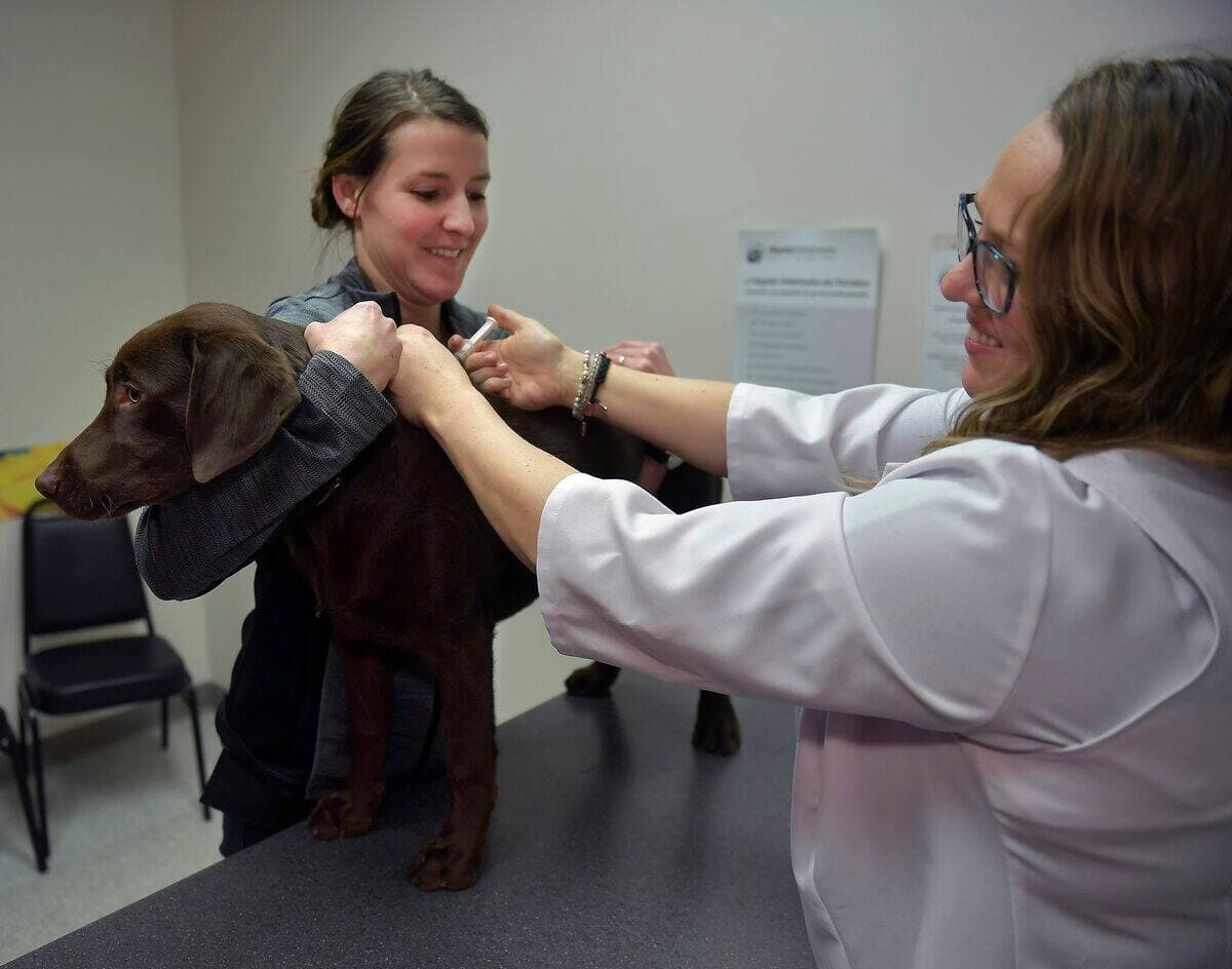 DIDIER DEBUSSCHERE/JOURNAL DE QUEBEC