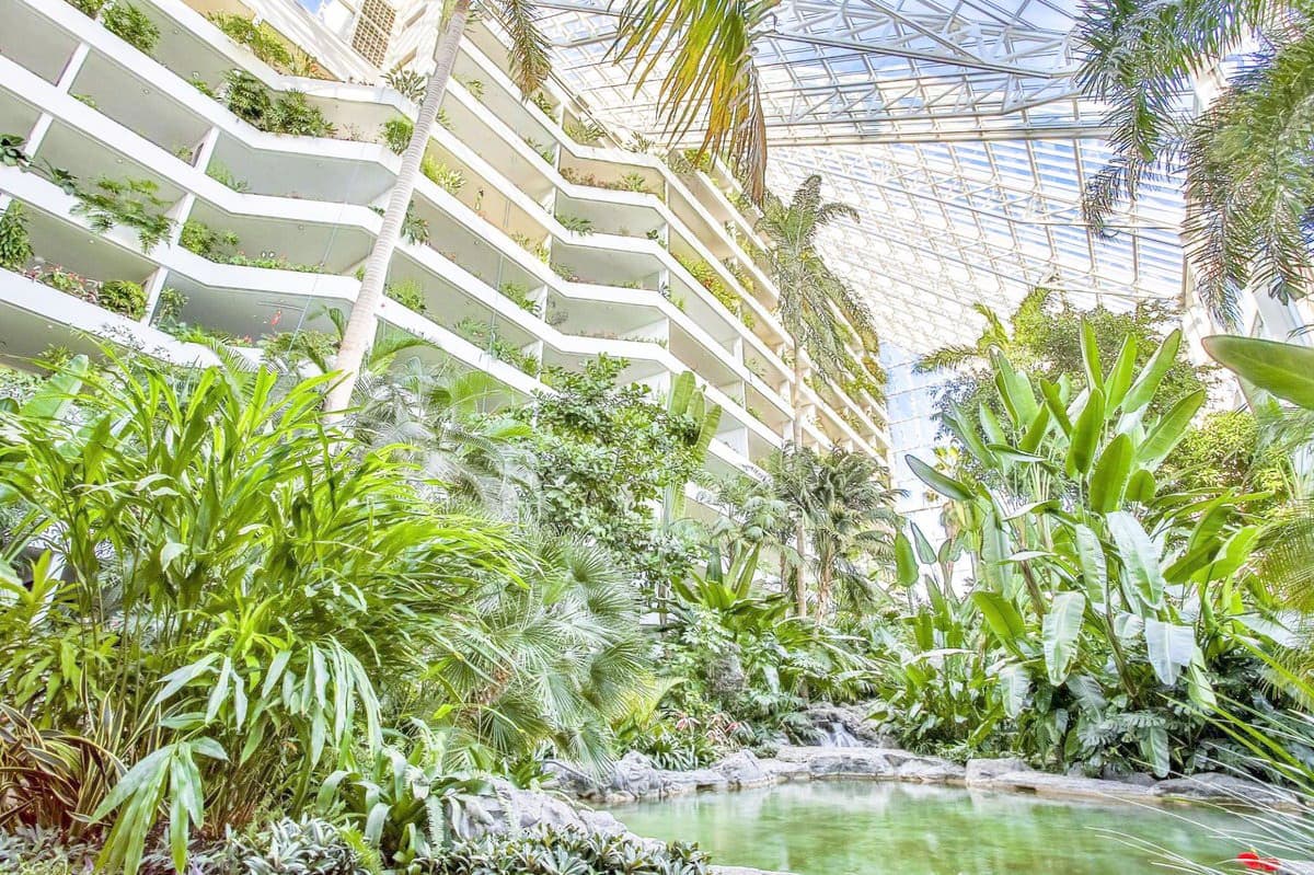 Le complexe Tropiques Nord, où habite Bebawi à Montréal, est connu pour son jardin exotique intérieur.