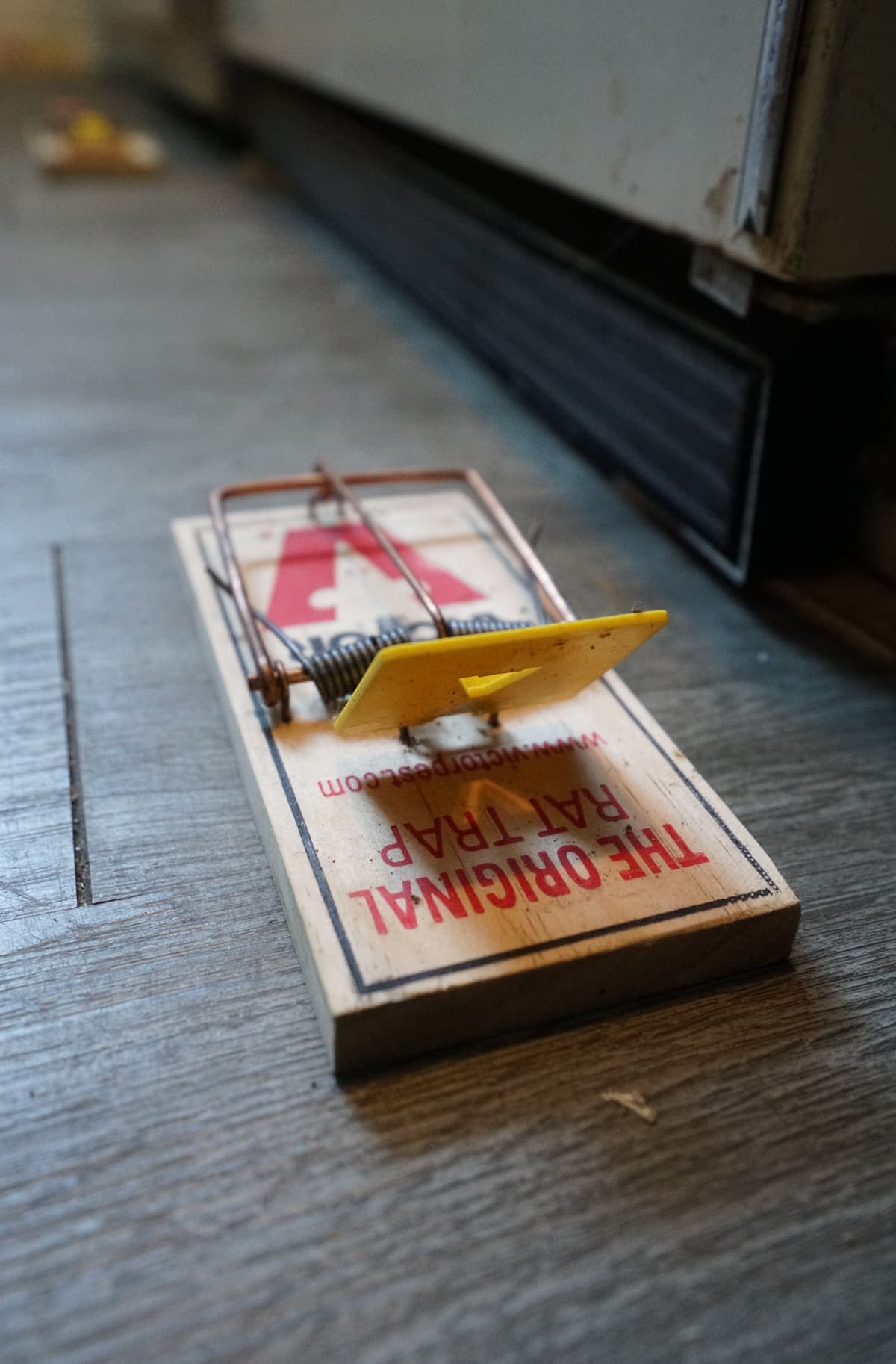 MARIO BEAUREGARD/AGENCE QMI