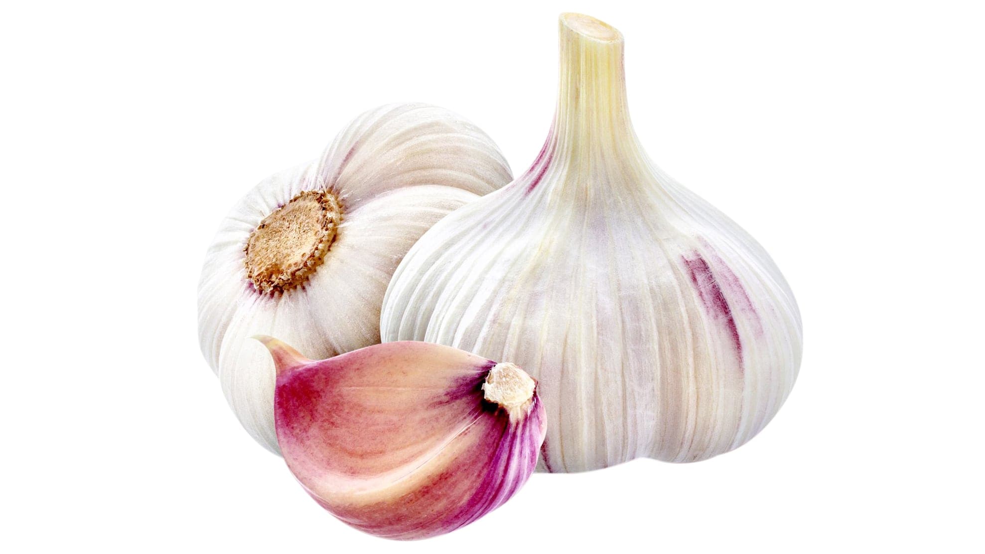 xamtiw - stock.adobe.com