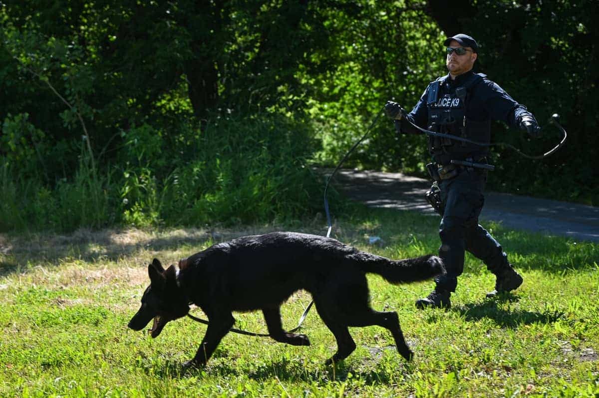 Photo Agence QMI, Maxime Deland