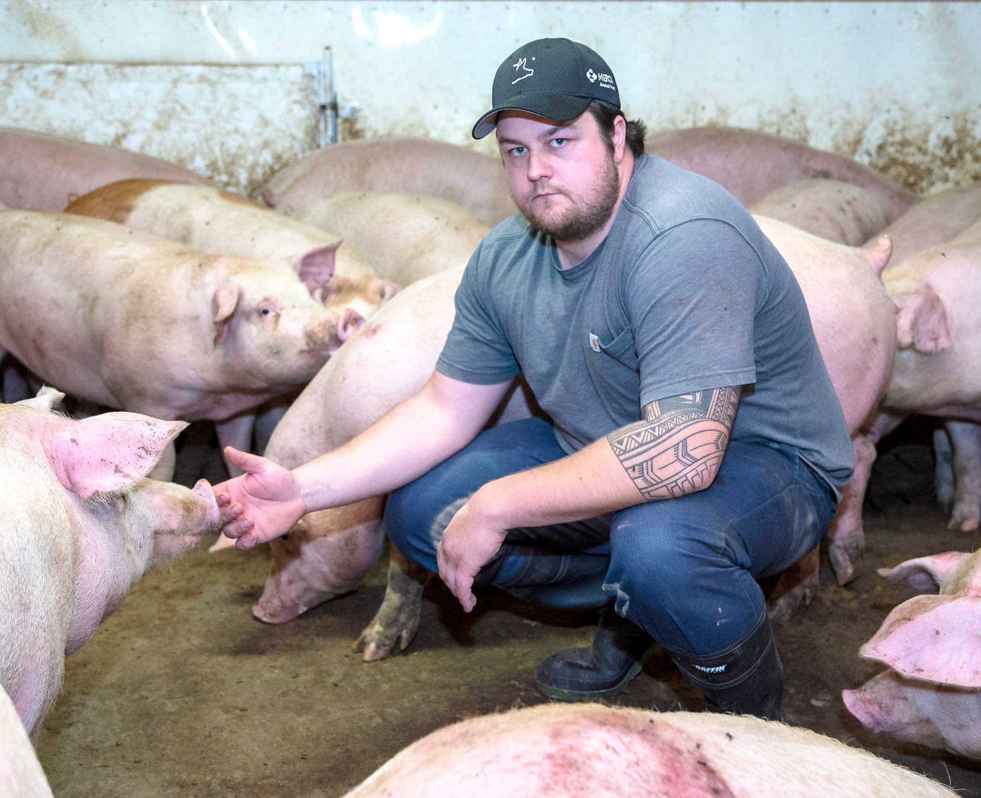 William Lafond, éleveur de porcs de Lanaudière.