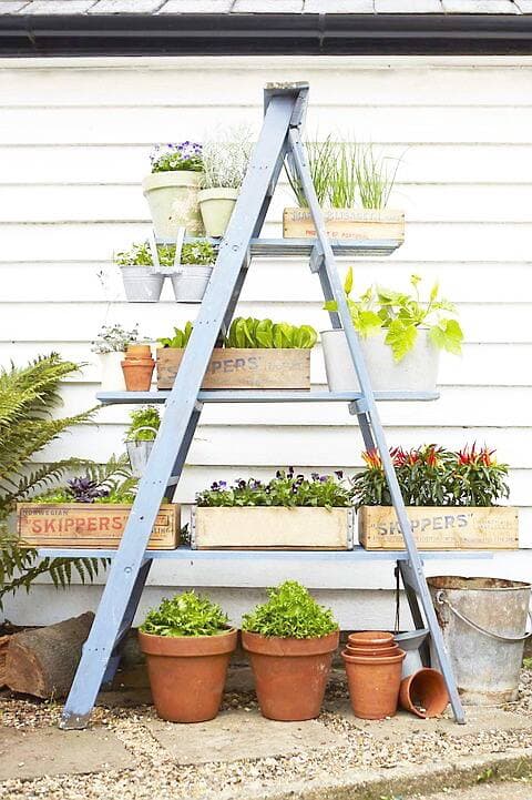 Vous pouvez installer de longues planches sur les marches de votre escabeau afin d’augmenter l’espace de culture.