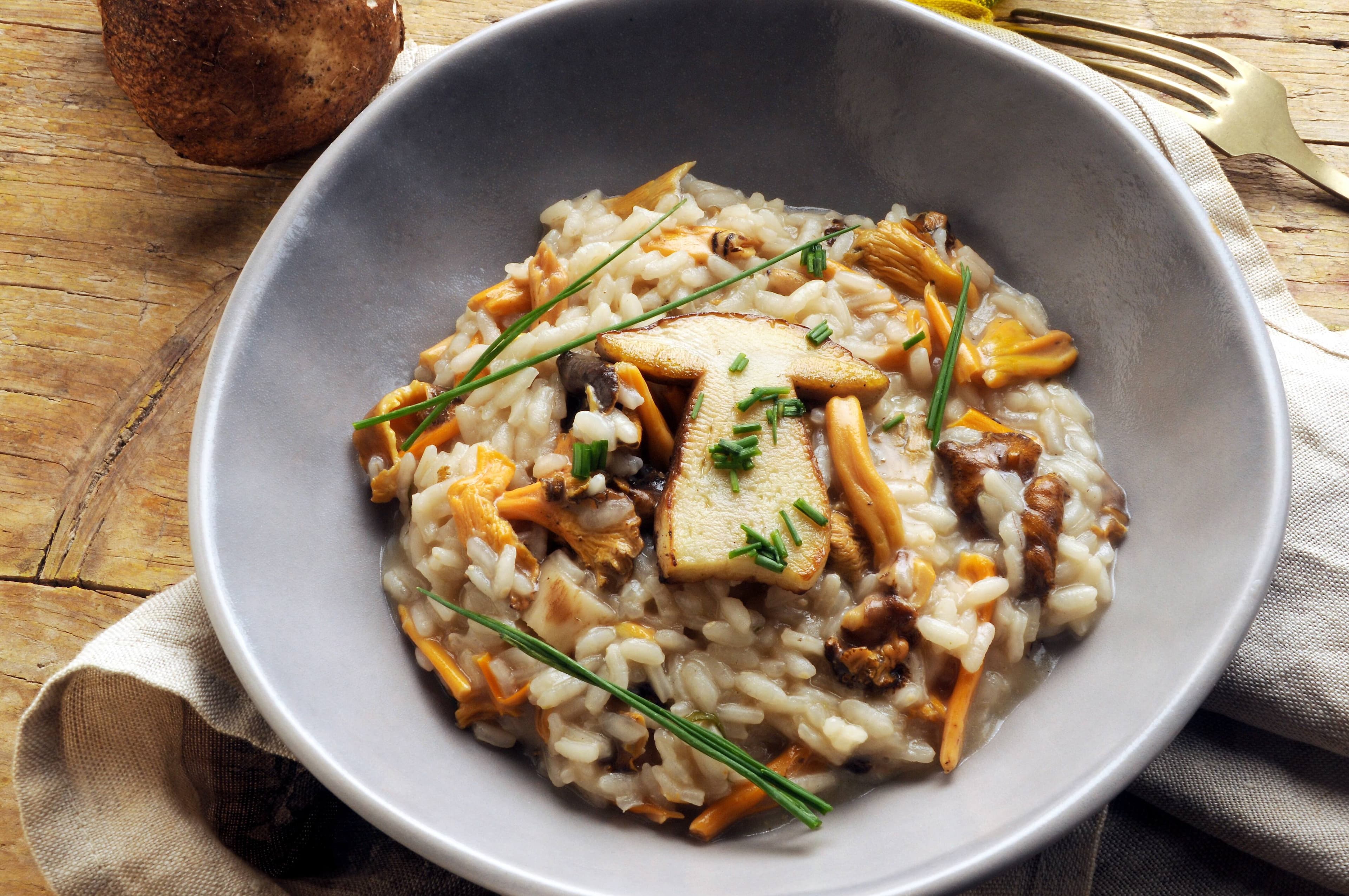 Les champignons, Mitsou les adore, peu importe le plat !