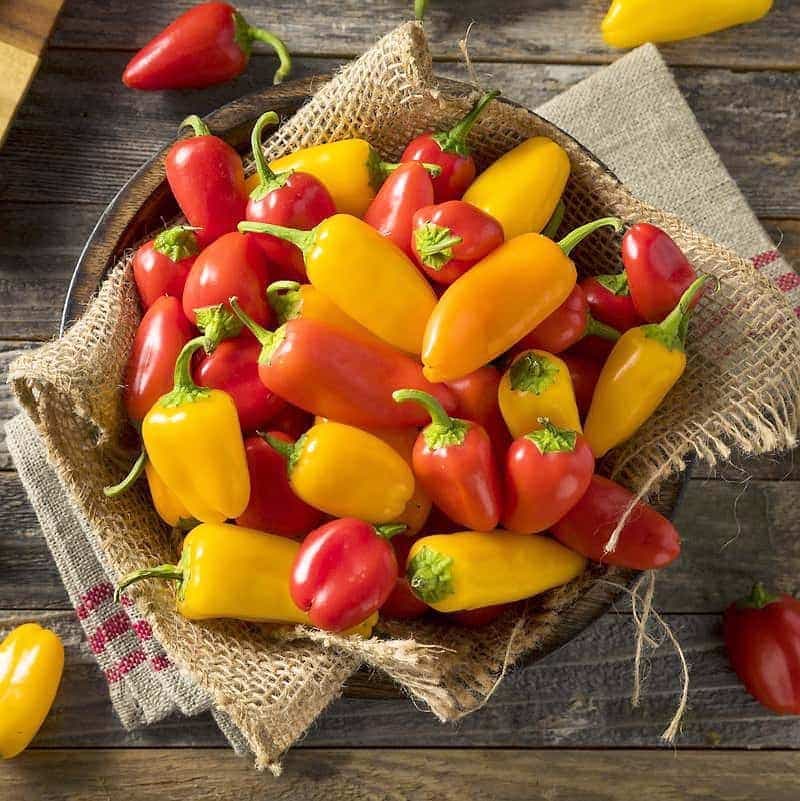 « Lunchbox Mix » Ces petits poivrons allongés dont les enfants raffolent conviennent parfaitement à la culture en pot sur la terrasse.