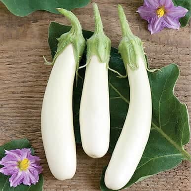 ‘Gretel’ est un cultivar trapu plutôt surprenant avec ses petits fruits à pelure blanche, tendres et légèrement sucrés. Chaque grappe de fleurs peut produire de trois à six fruits allongés.