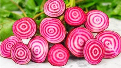 Photo courtoisie, Root+Holler