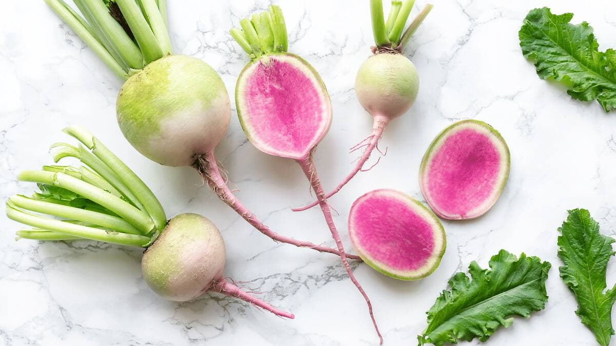 Photo courtoisie, Everything Radish